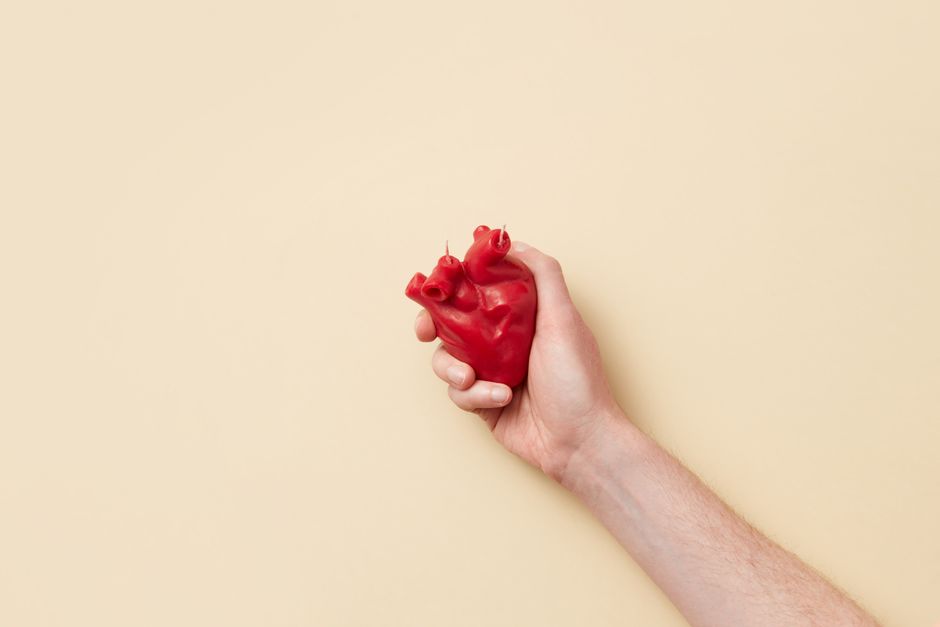 Doctor holding an anatomical heart model while explaining atrial fibrillation pathophysiology